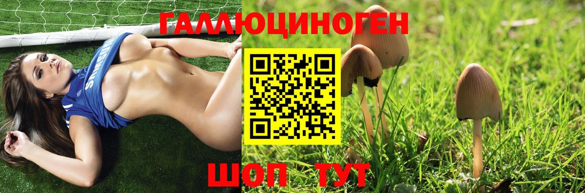 Озёры  Галлюциногенные грибы прущие грибы  Галлюциногенные грибы MAGIC MUSHROOMS  Вход с VPN 